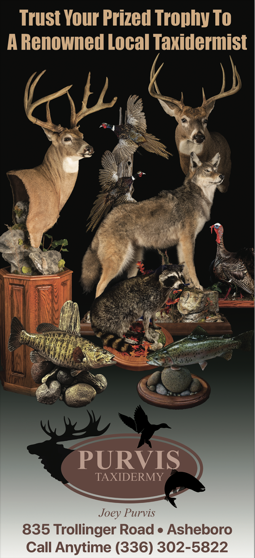 Purvis Taxidermy – Asheboro