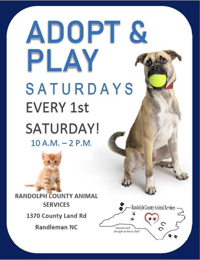 Randolph County Animal Services Adopt & Play Saturdays! – Asheboro