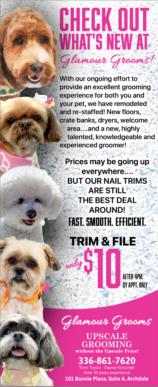 Glamour Grooms Upscale Pet Grooming – Archdale